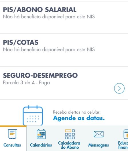 Você Sabe Como Consultar O Número Do PIS Através Do CPF? | Régulus